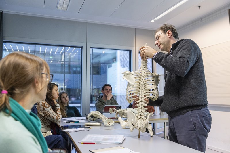 Musikphysiologie
