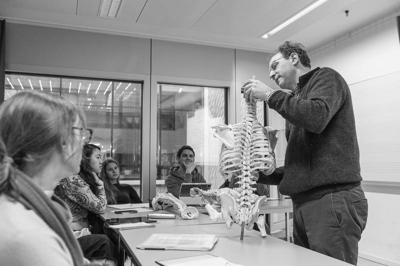 Musikphysiologie