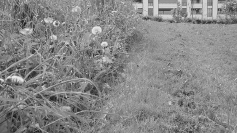 Figure 4. Mowing only the outside of the garden lawn in Zurich
