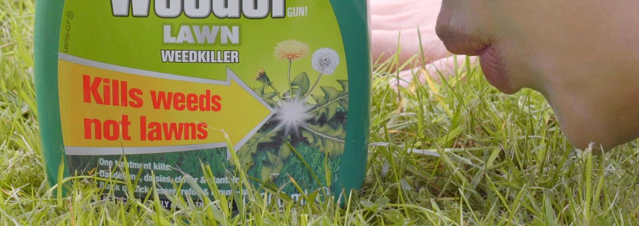 Figure 1. Field Research in North Acton Playing Fields, London, ©Ellie Kyungran Heo