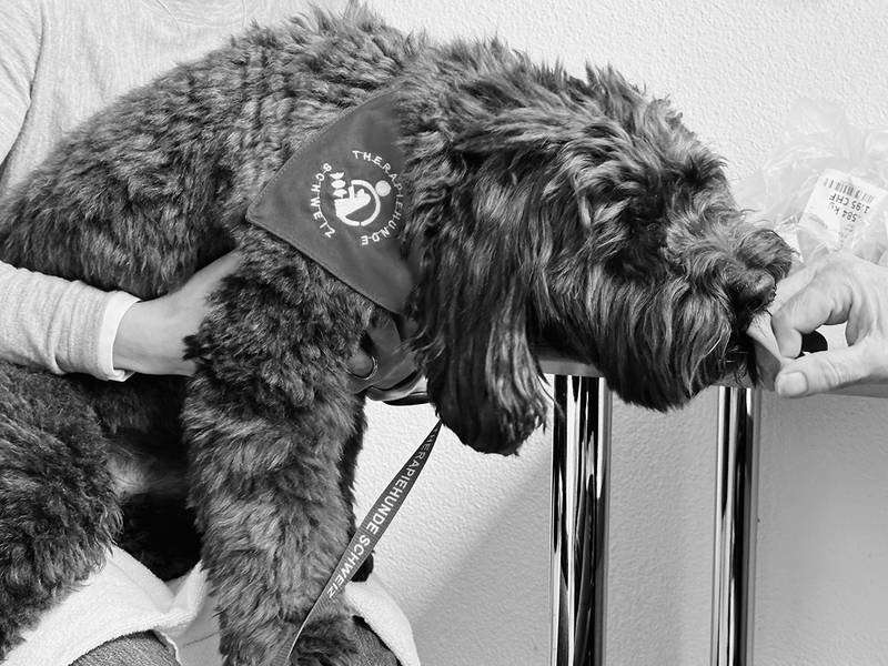 Recording with a therapy dog and patients at The Palliative Care Department, Stadtspital Waid, Zürich. (2024) 