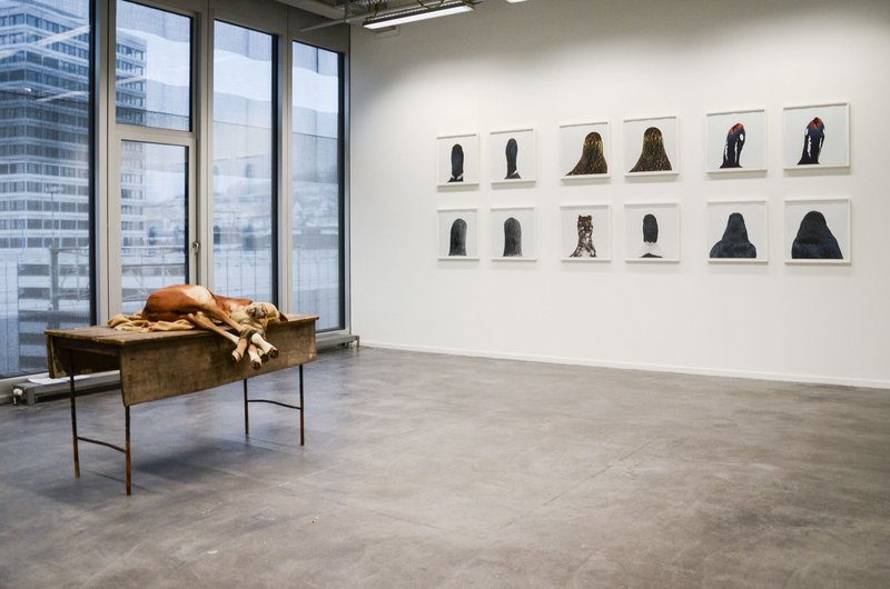 Installation view of the exhibition “Animals We Are Ourselves,” NEST, Zurich University of the Arts, 2021. Photograph: Jasmine Gregory