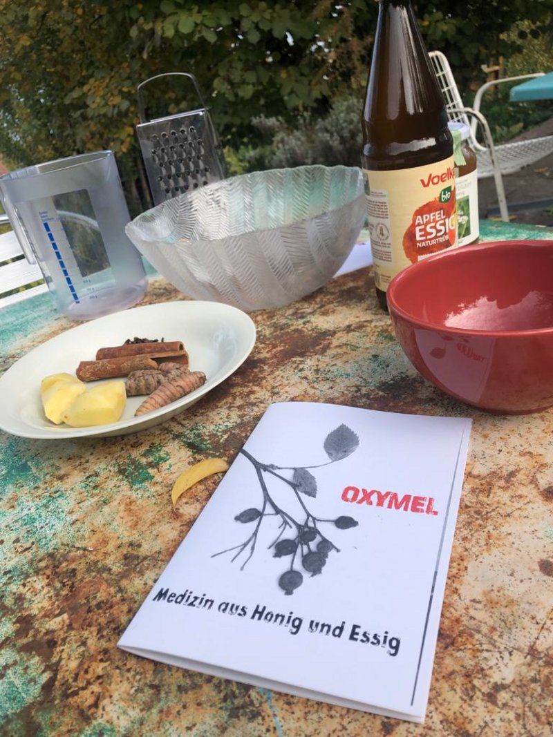 Gartensonntag: Naturmedizin aus dem Garten - Hagebutten-Oxymel