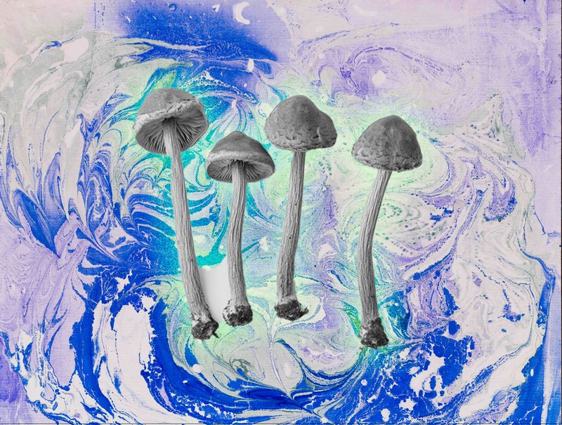 Shaping Psychedelic Health 