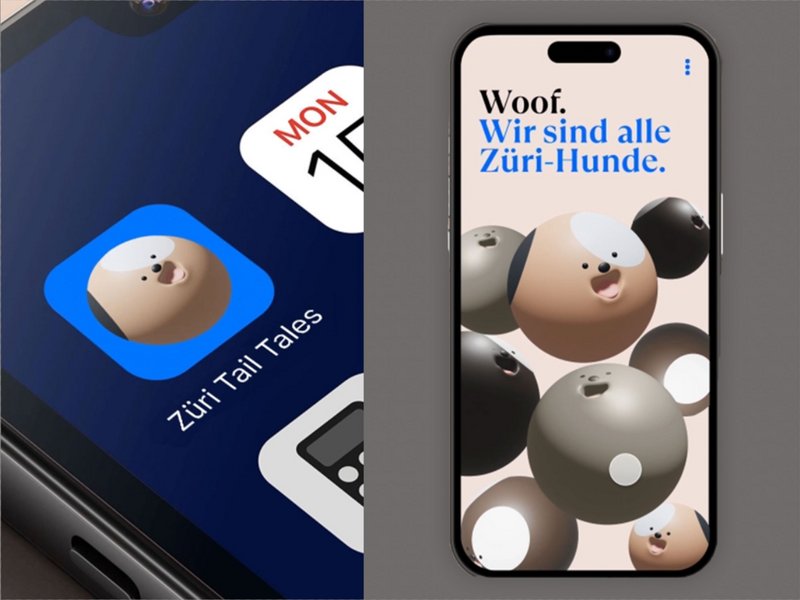 CAS UI-UX Design- Prototyping