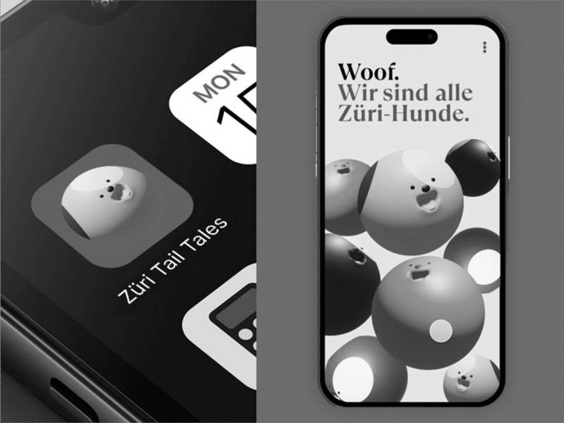 CAS UI-UX Design- Prototyping