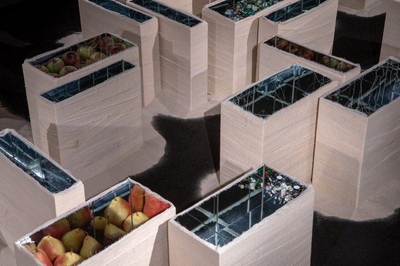 Exhibition Paulo Wirz_Collegium Helveticum