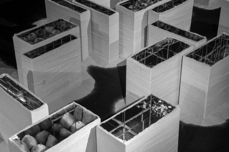 Exhibition Paulo Wirz_Collegium Helveticum