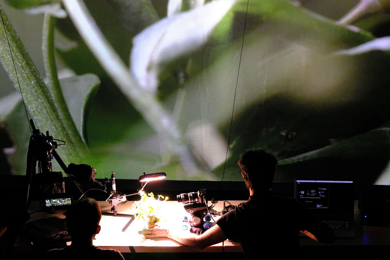 Rama Gottfried: Scenes from the Plastisphere. Photo: Stefan Prins