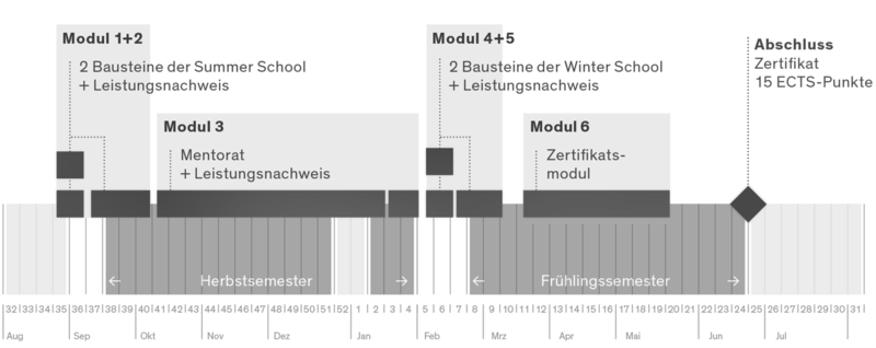 Ablauf CAS Arts & Design in Practice
