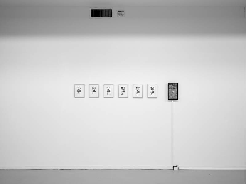 BEST WISHES 2024 Performance, Screenprint, Video Variable Dimensionen