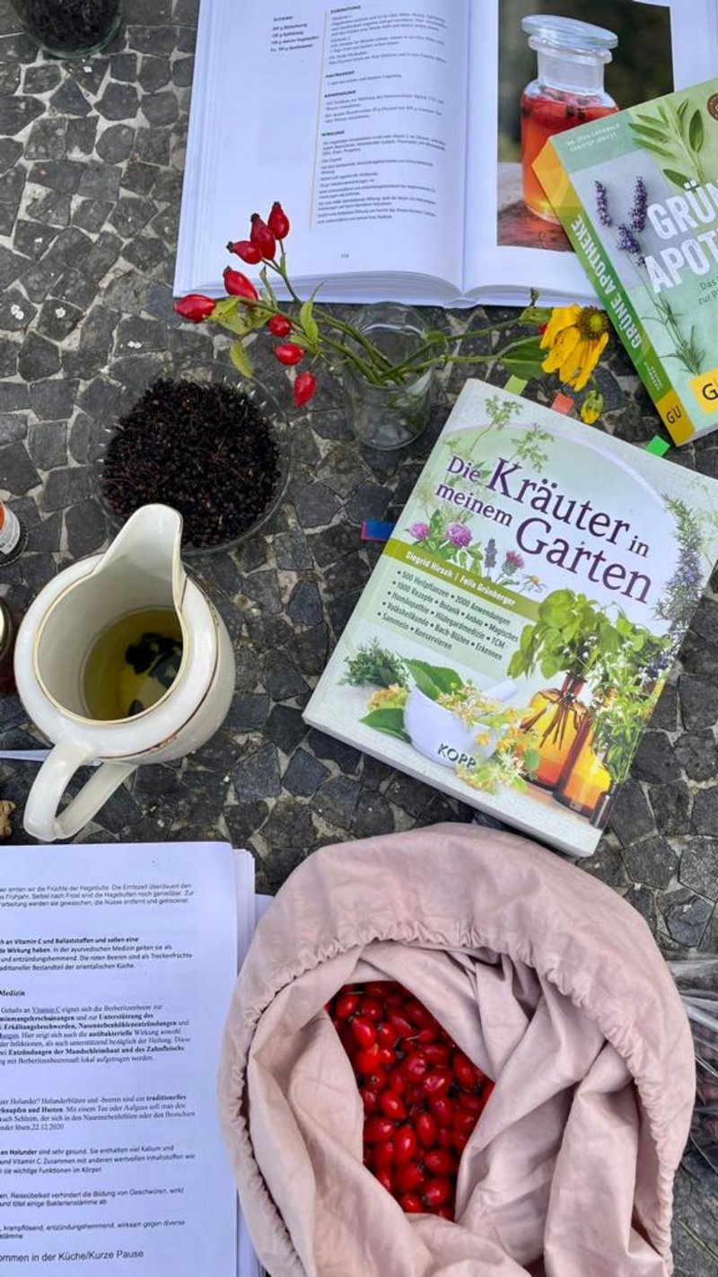 Gartensonntag: Naturmedizin aus dem Garten - Hagebutten-Oxymel