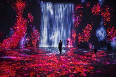 Digitale Kunst: Speaker Takeshi Yamada von teamLab greift das Thema an der Konferenz auf. Foto: © teamLab