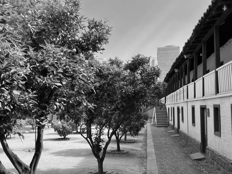 Campus Lo Contador; Credit: Francis Müller Campus Lo Contador; Credit: Francis Müller