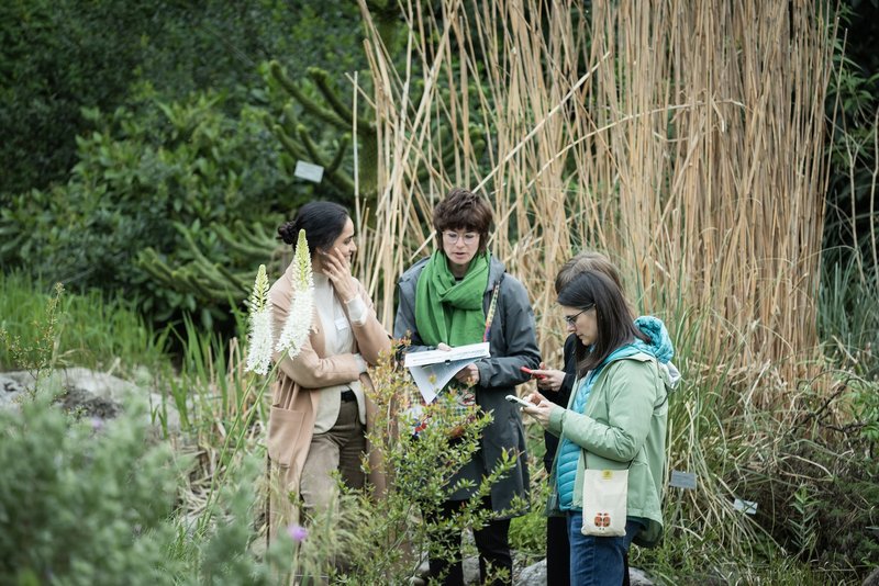 Botanical Thinking
