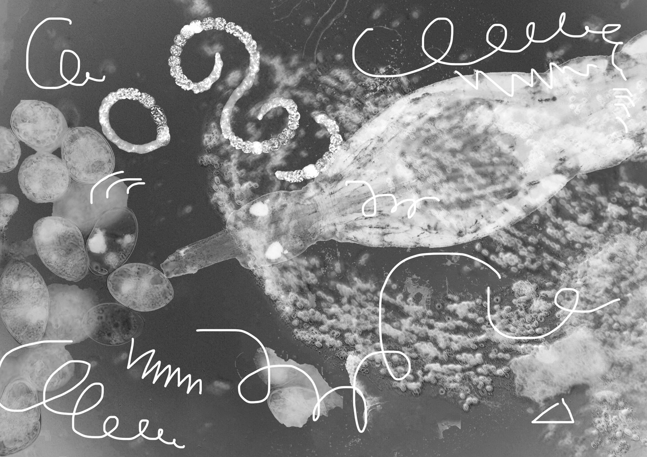 [Translate to English:] Visual