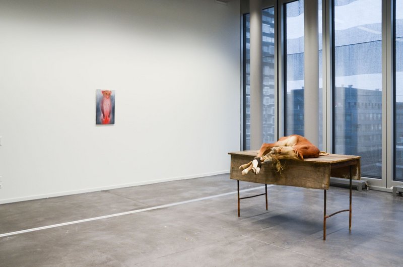 Bild: Kunstwerk in Ausstellung