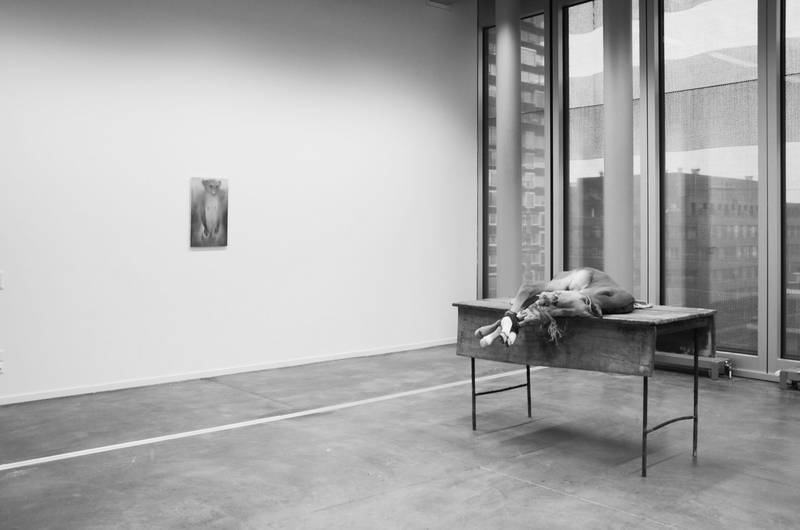 Bild: Kunstwerk in Ausstellung
