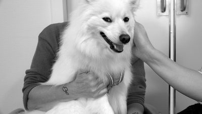 Julie Born Schwartz: "Death Care" (2026)