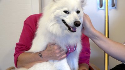 Julie Born Schwartz: "Death Care" (2026)