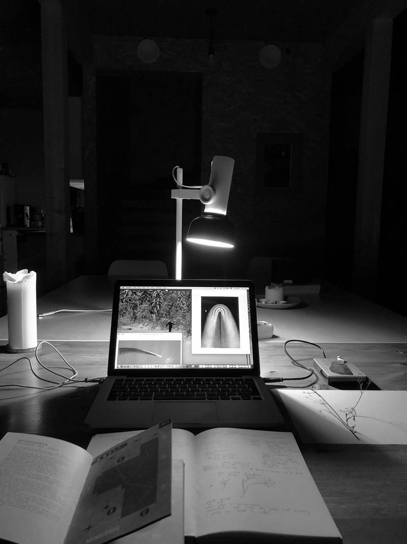 Bild
