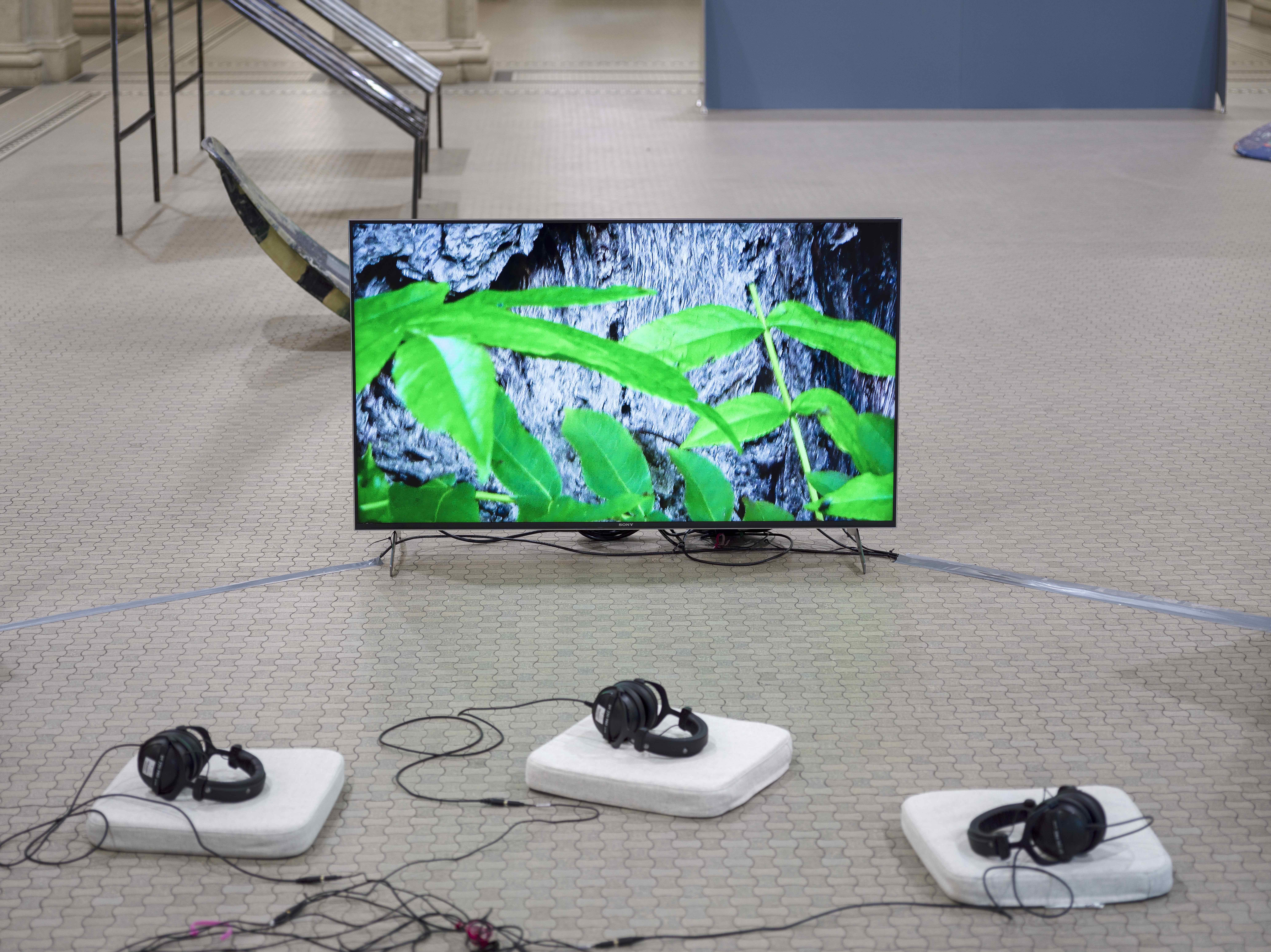 a Collective Work Between Artist and Environmental Scientist_Yue Wu