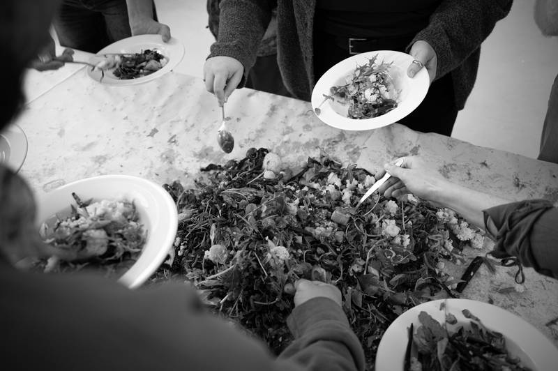 Encounters with Taste