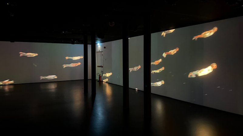 reconFIGURE, installation view