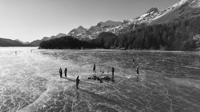 Highlights Transdisziplinarität Highlights Transdisziplinarität