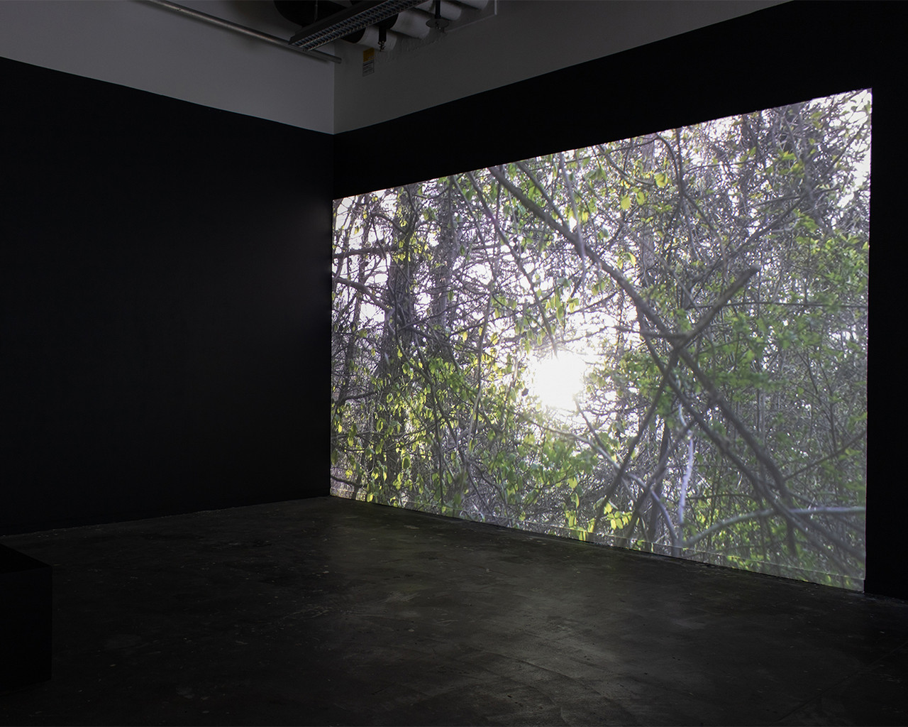 I <3 OSTSCHWYZ  - an ecosexual love letter 2025 Video mit Audio, 15min 13s Variable Grösse