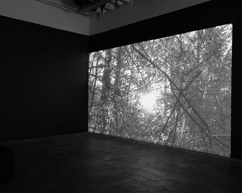 I <3 OSTSCHWYZ  - an ecosexual love letter 2025 Video mit Audio, 15min 13s Variable Grösse