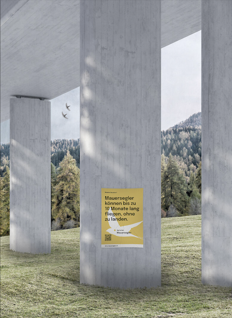 Die Vogelnistkästen mit der begleitenden Informationskampagne. 
