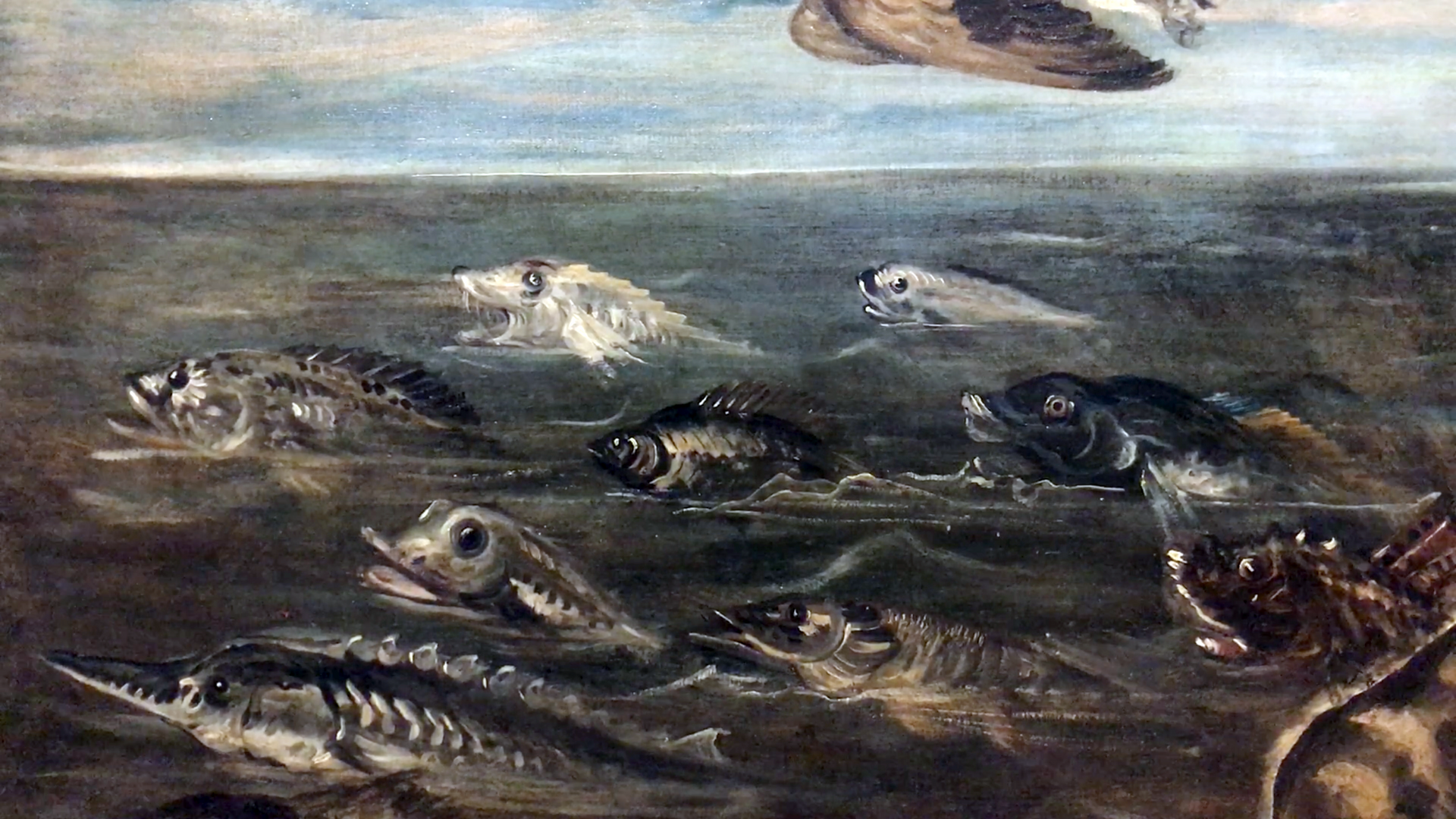 Foto: Detail aus Jacopo Tintoretto: Creazione degli animali (1550-1553)