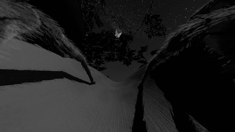 «Mit den Sinnen einer Spinne –Ein arachnozentrisches Erlebnis»