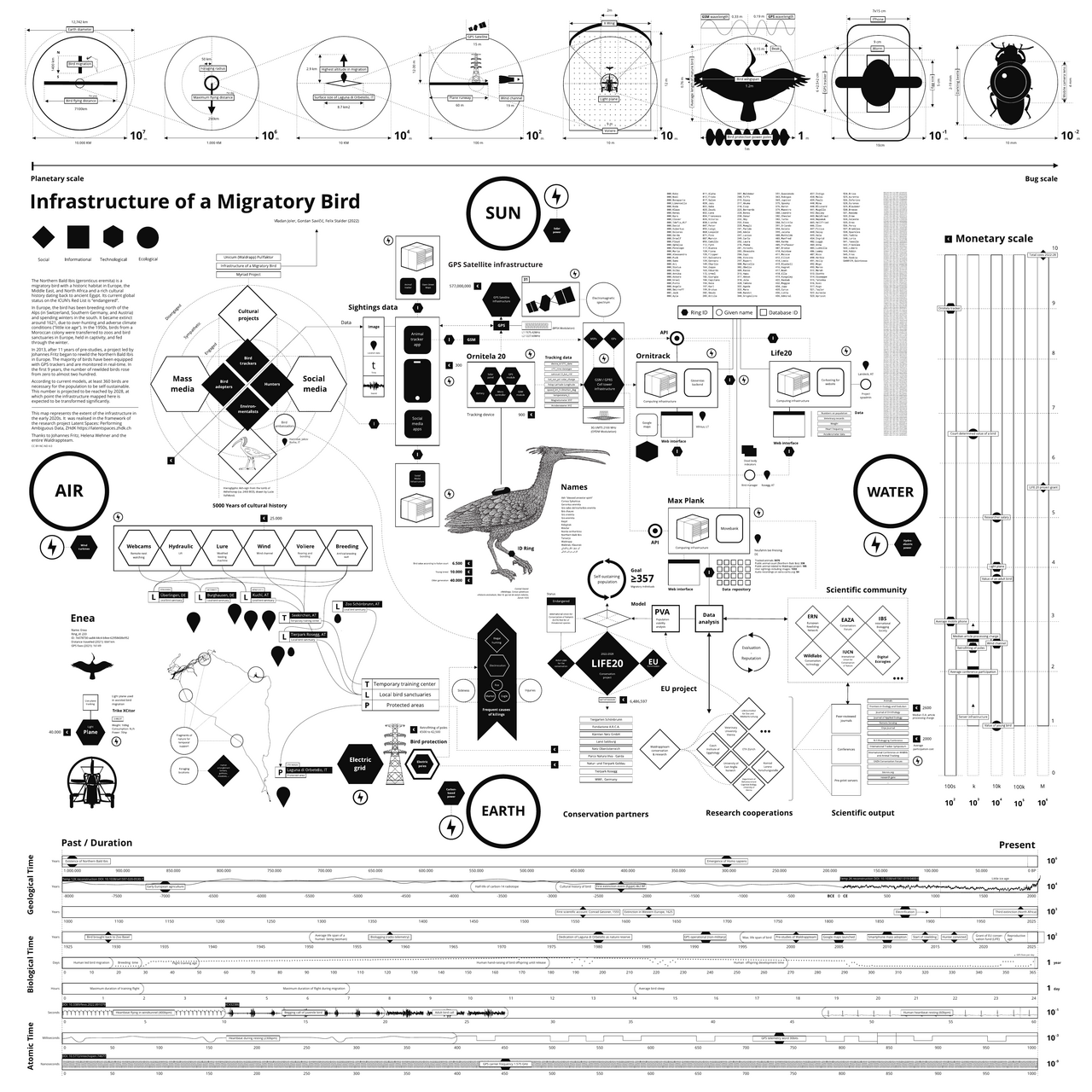 Diagramm Infracstructure of a Migratory Bird