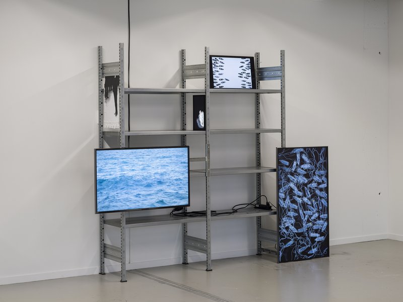 Elena Corvaglia, Schiffliversenken (alteration_04), 2023-2024. Photo: Cedric Mussano