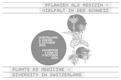 2026 Boga Ausstellung Web Teaser3 2026 Boga Ausstellung Web Teaser3