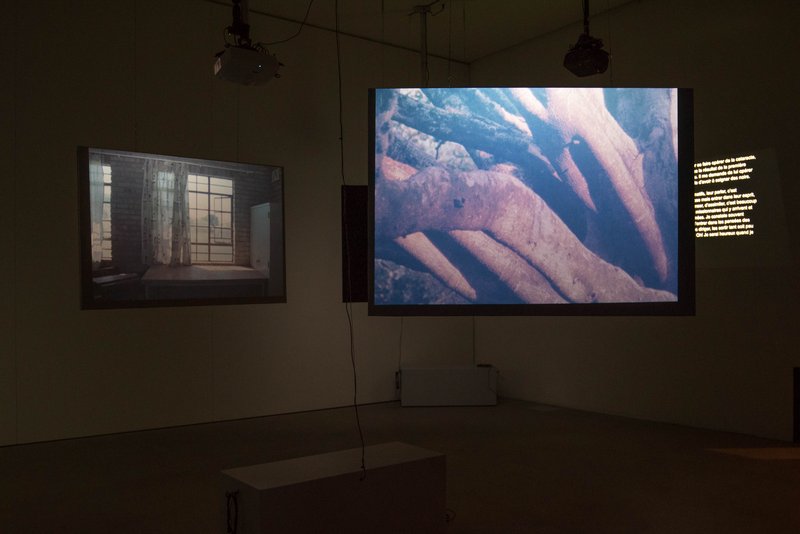 Lettres au Docteur L, installation 6 canals, Espace Arlaud, 2019