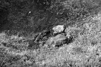 Marit Mihklepp: "Meteolore: Air Stones, Ground Holes" (2023)