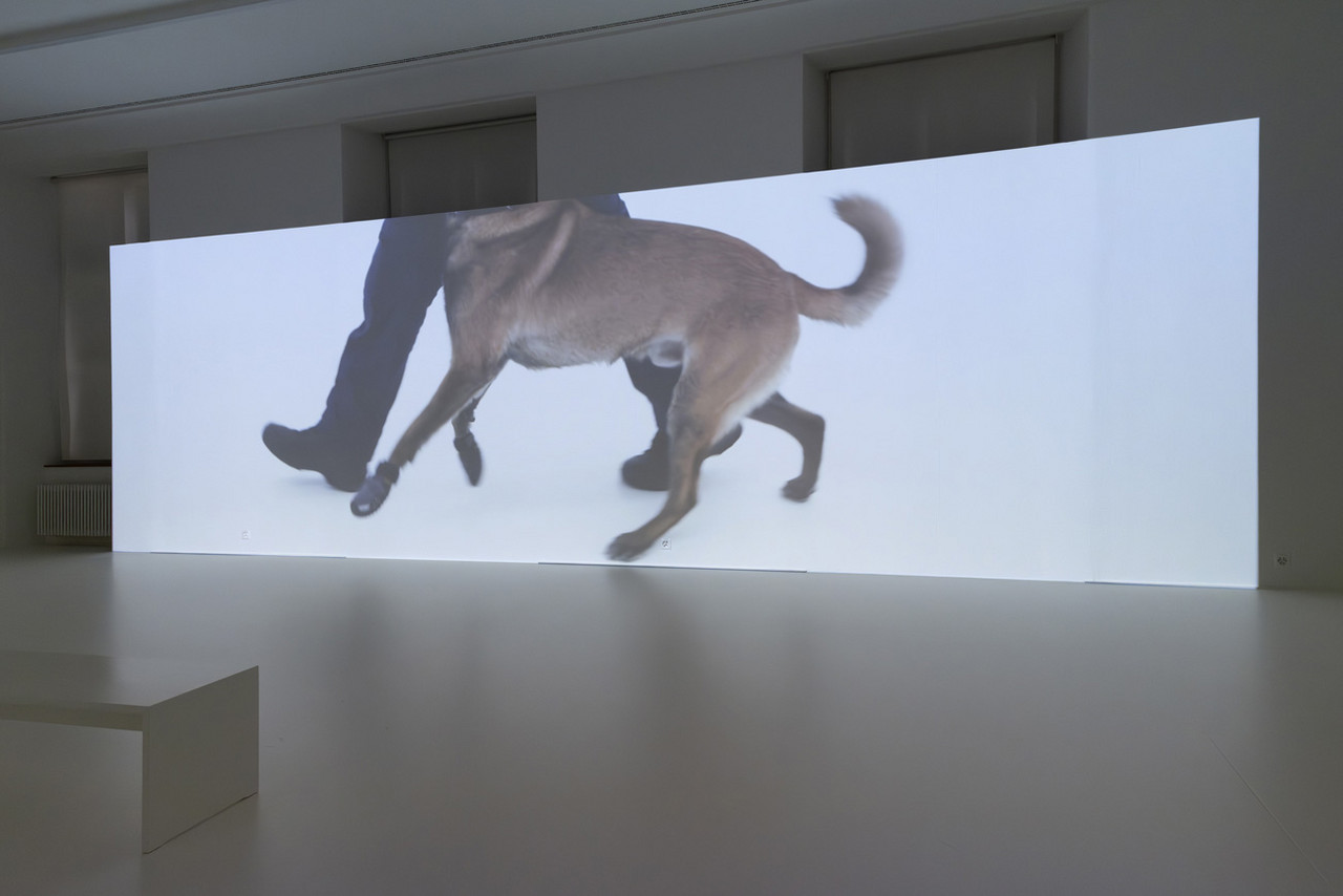 Beiss die Hand, Ausstellungsansicht Helmhaus Zürich, 2024. Foto: Zoe Tempest