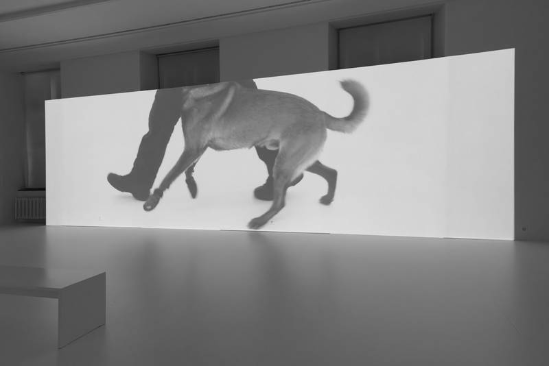 Beiss die Hand, Ausstellungsansicht Helmhaus Zürich, 2024. Foto: Zoe Tempest