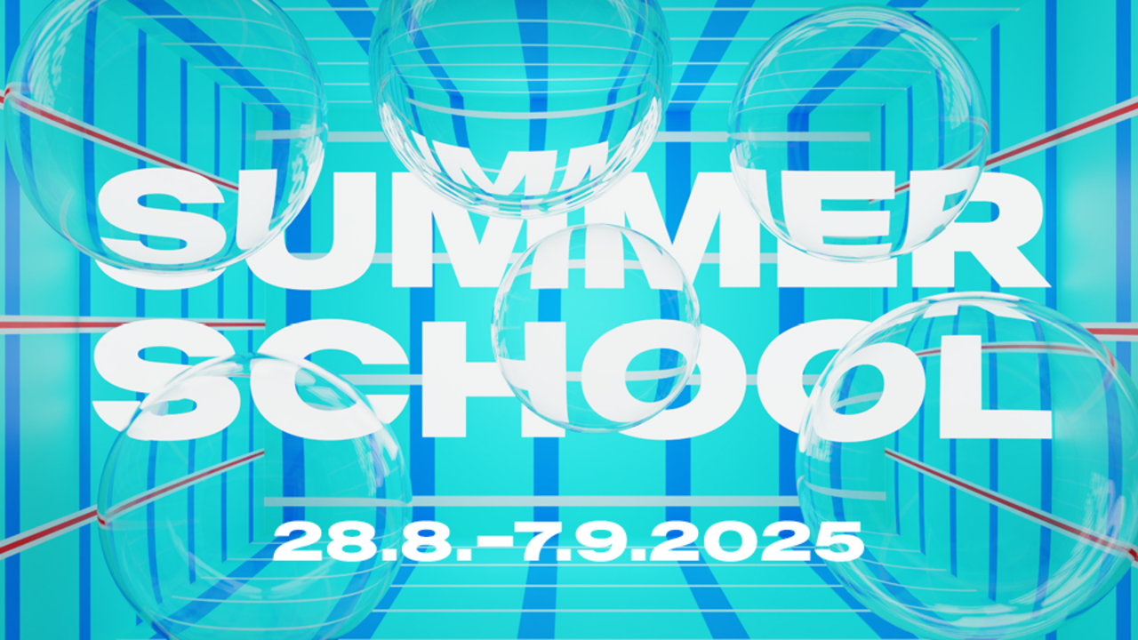 Summer School 2025
