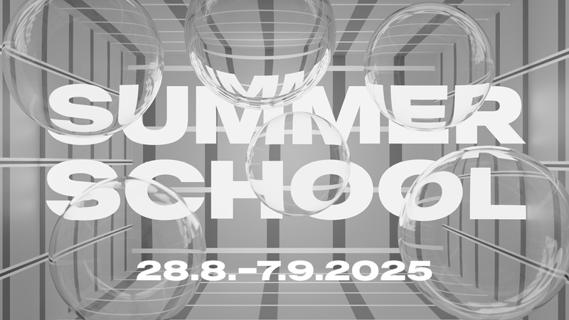 Summer School 2025