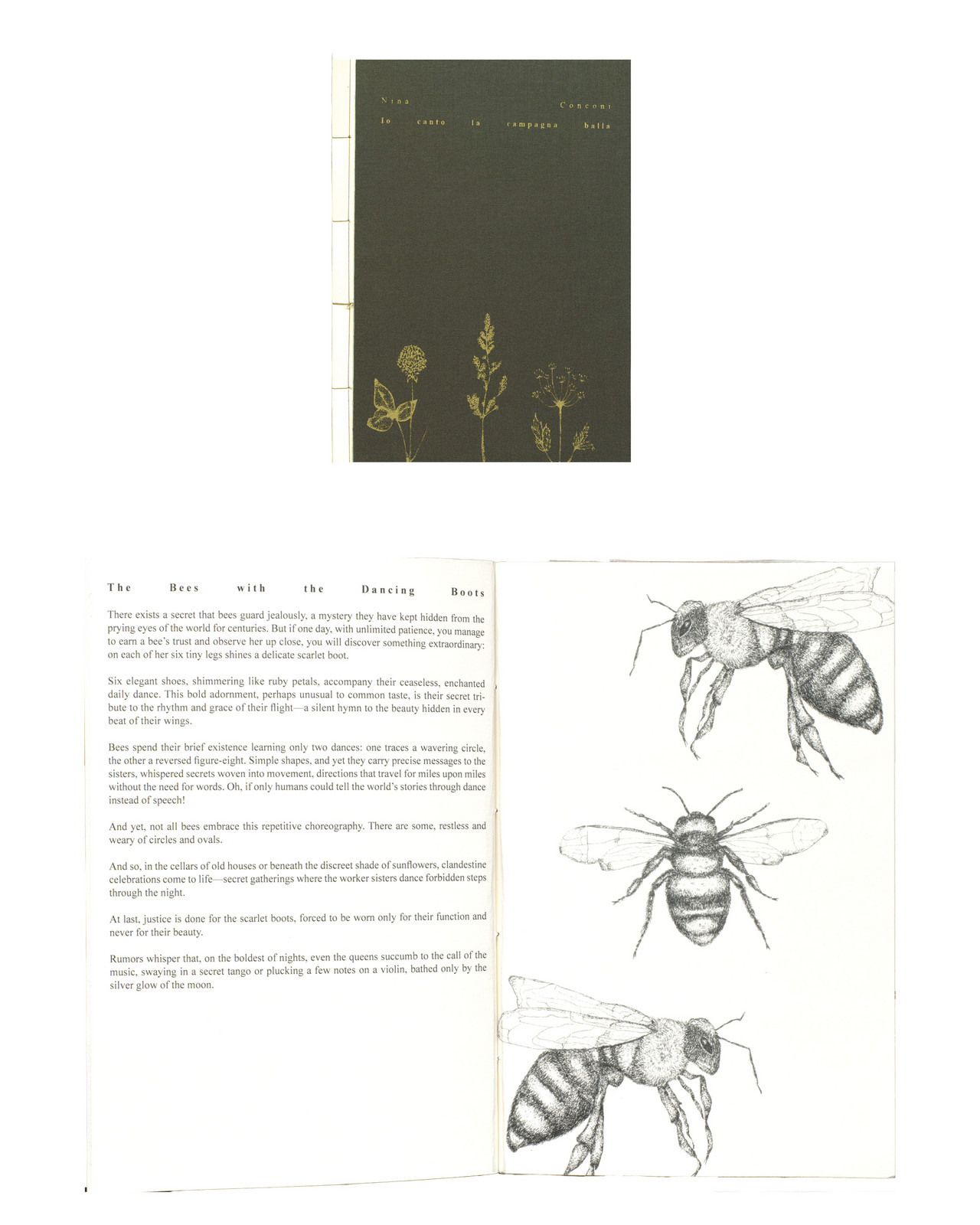 IO CANTO LA CAMPAGNA BALLA / I SING THE COUNTRYSIDE DANCES 2025 Moskitonetz, Fäden, Kissen, Tisch, Bettlaken, Papier, Karton, Tinte, Kopfhörer, MP3-Player 200x200 cm
