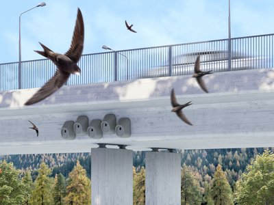 Concrete bridges are used for the installation of bird nesting boxes. © ZHdK.