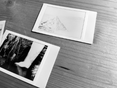 Prof:in Yvonne Wilhelm: "00LANDSCAPE  // An Oraliture_ More-Than-Landscape"
