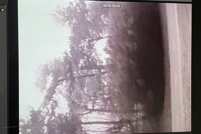 Aglaia Brändli: "Sauerland – a specific random reference point" (2025)