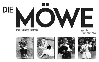 Die Möwe