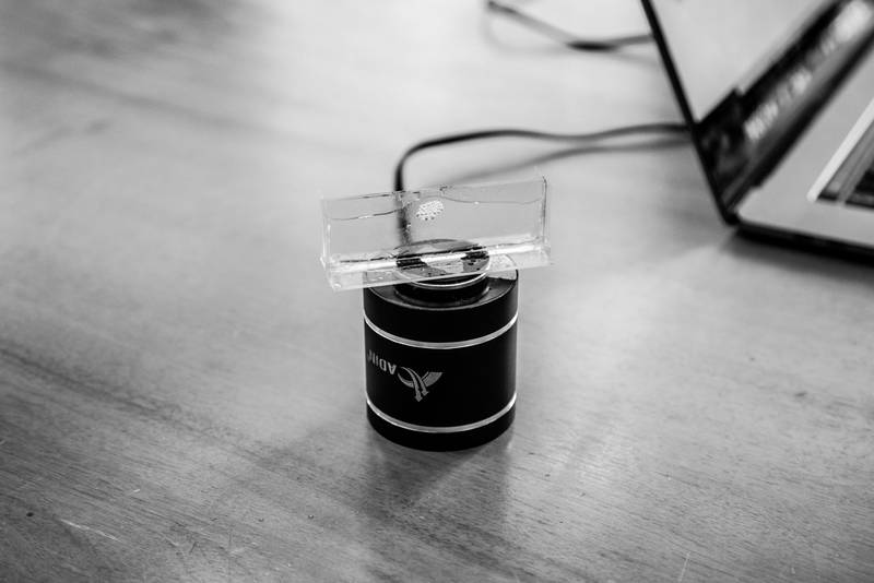 Micro-mechanical resonator in action, © Eliot Gisel