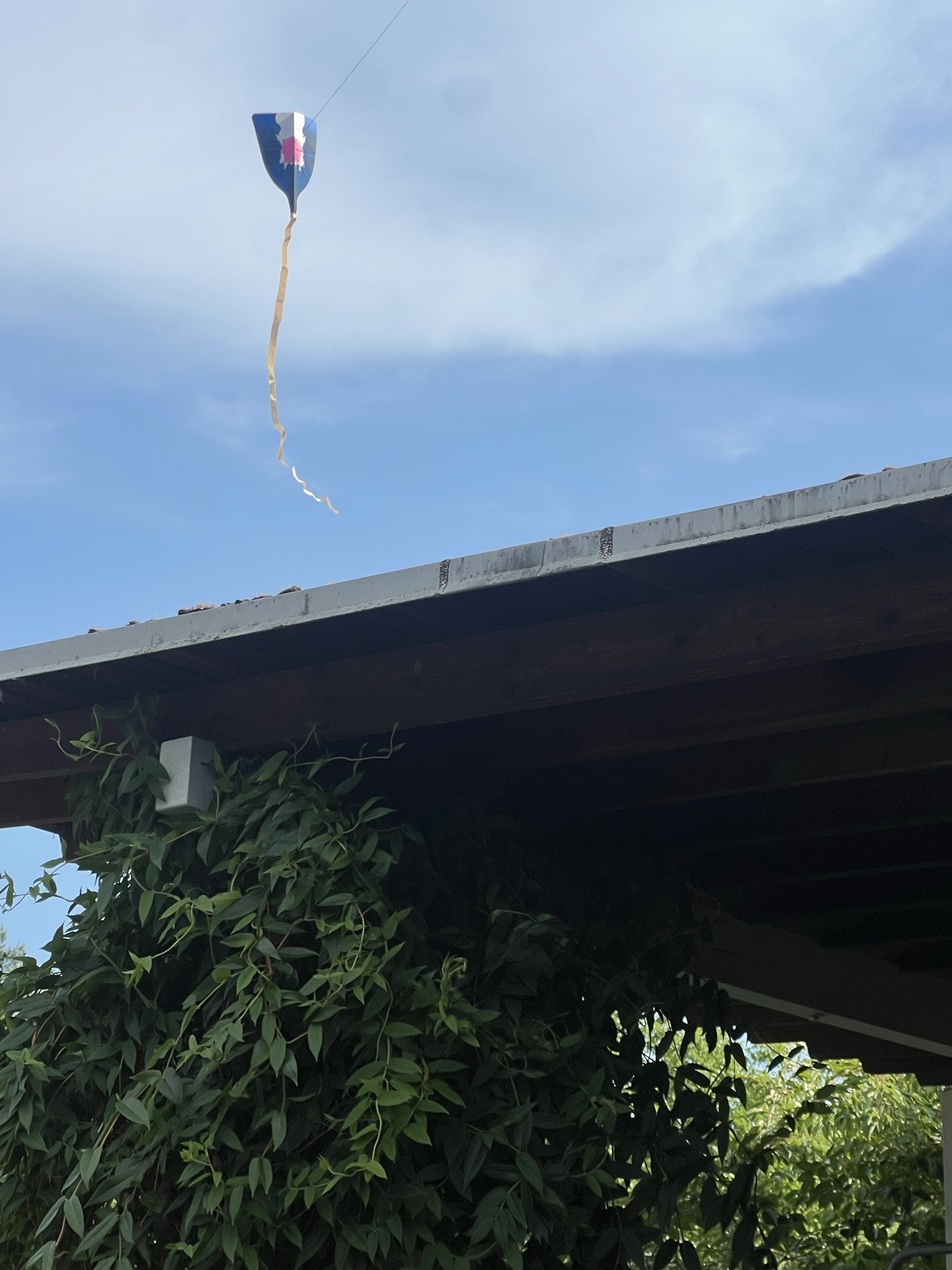 Florian Dombois, Be'n'Kite, Letzigraben Zürich, 2026